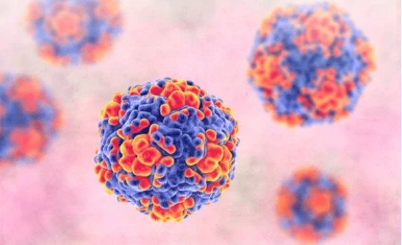 Enterovirus Mouse Model